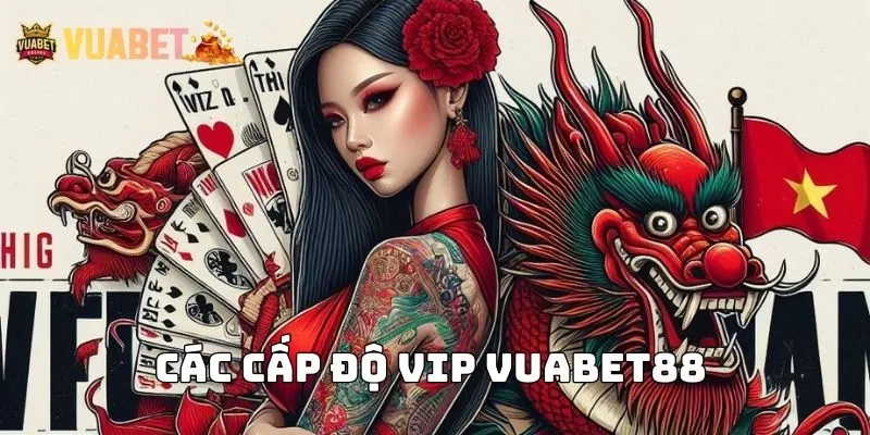 Những cấp độ được phân chia trong VIP Vuabet88