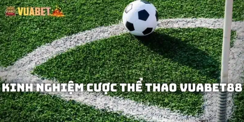 Bật mí các kinh nghiệm cược thể thao Vuabet88 thắng lớn