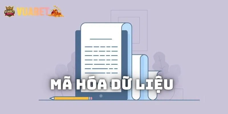 Vuabet88 bảo vệ thông tin người dùng bằng mã hóa dữ liệu